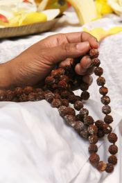 12045607_471453003061208_6129895748071592001_o